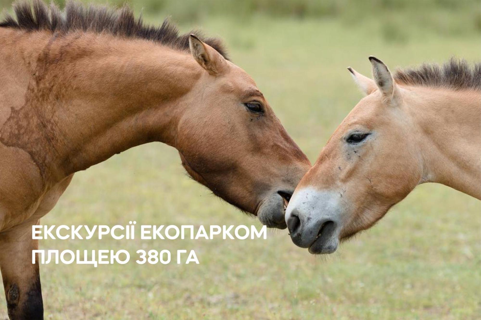 Dereville Sokolovka Екстер'єр фото